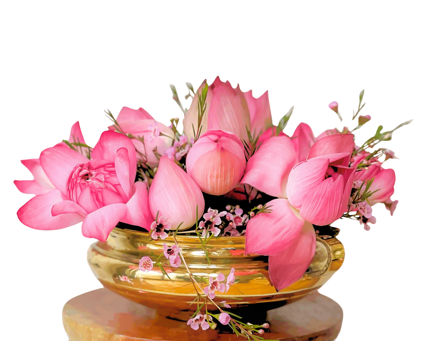 Pachamama Lotus
