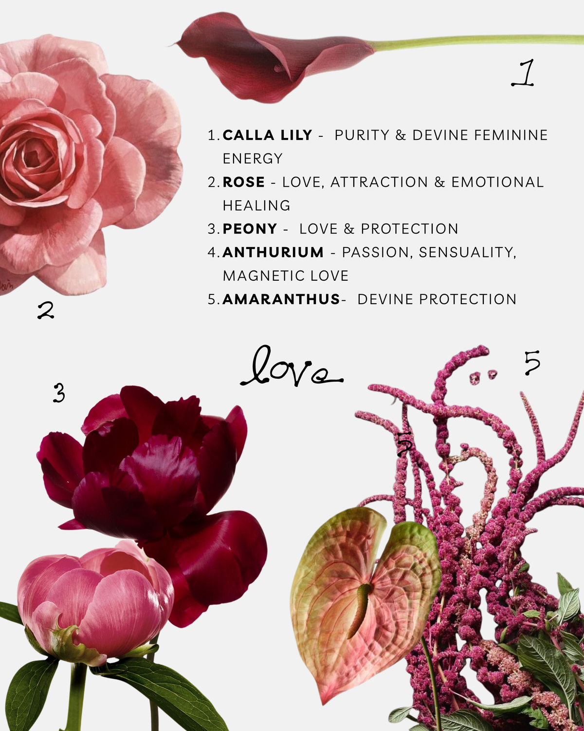 Pachamama’s Love