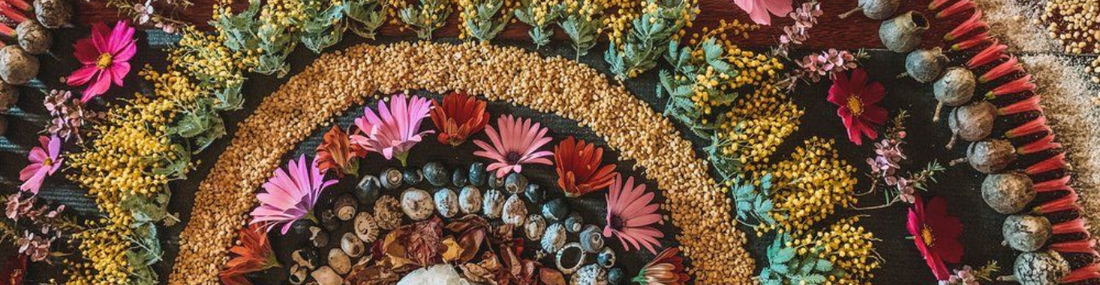 Moon Rituals with Flowers: A Monthly Practice of Release and Intention