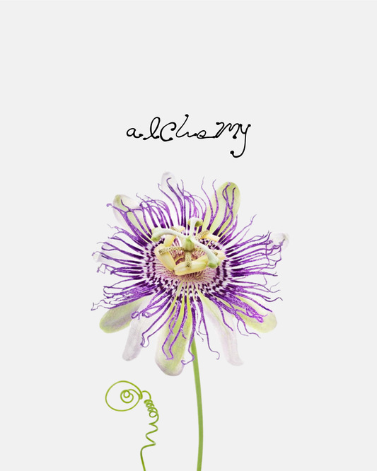 Alchemy Arrangement