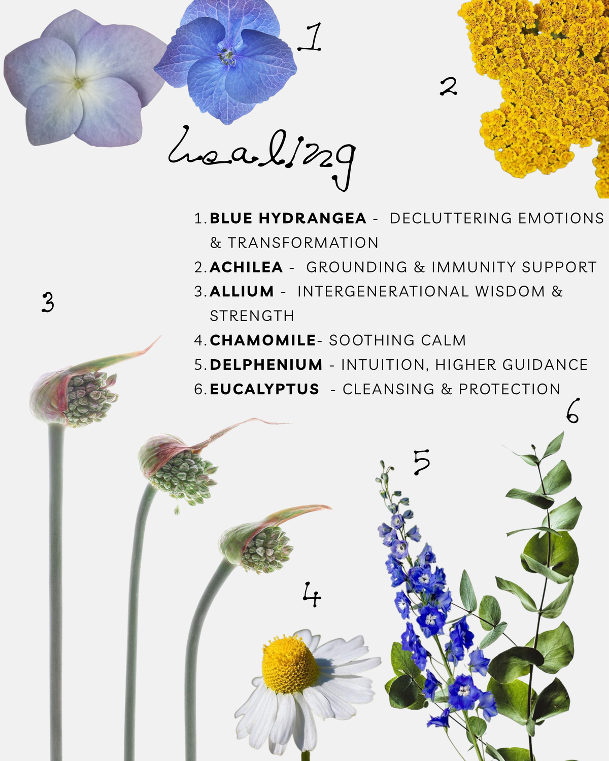 Pachamama’s Healing