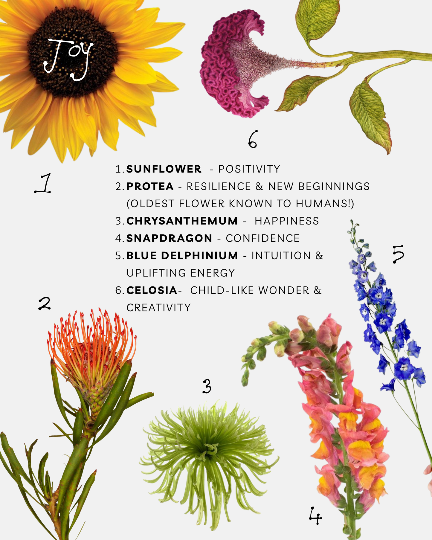Pachamama’s Joy