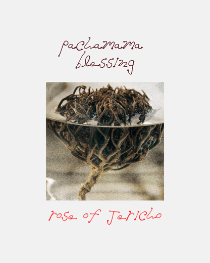 Pachamama Blessing