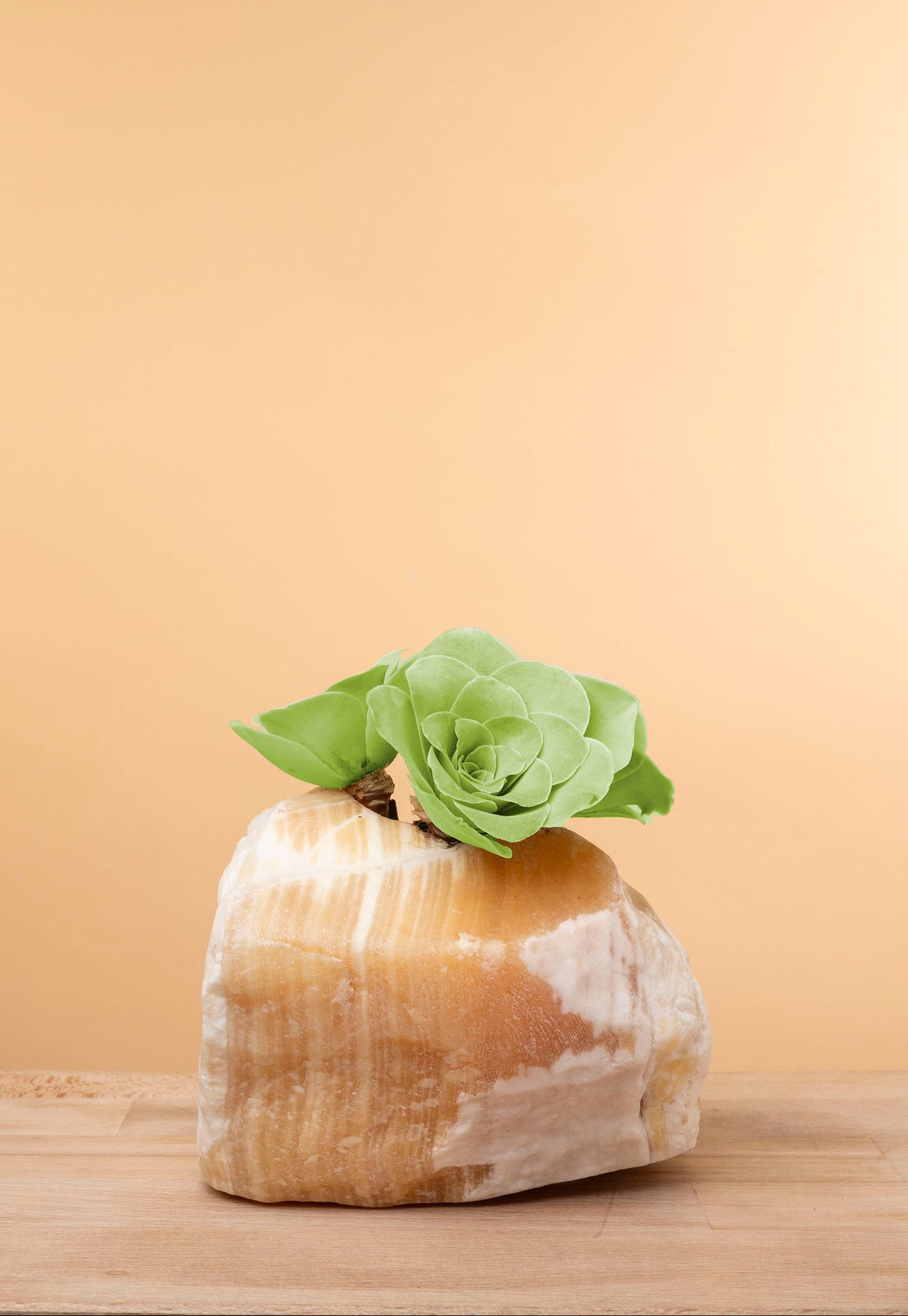 Succulent on Raw Orange Calcite