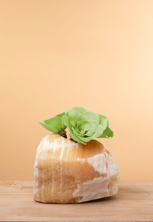Succulent on Raw Orange Calcite