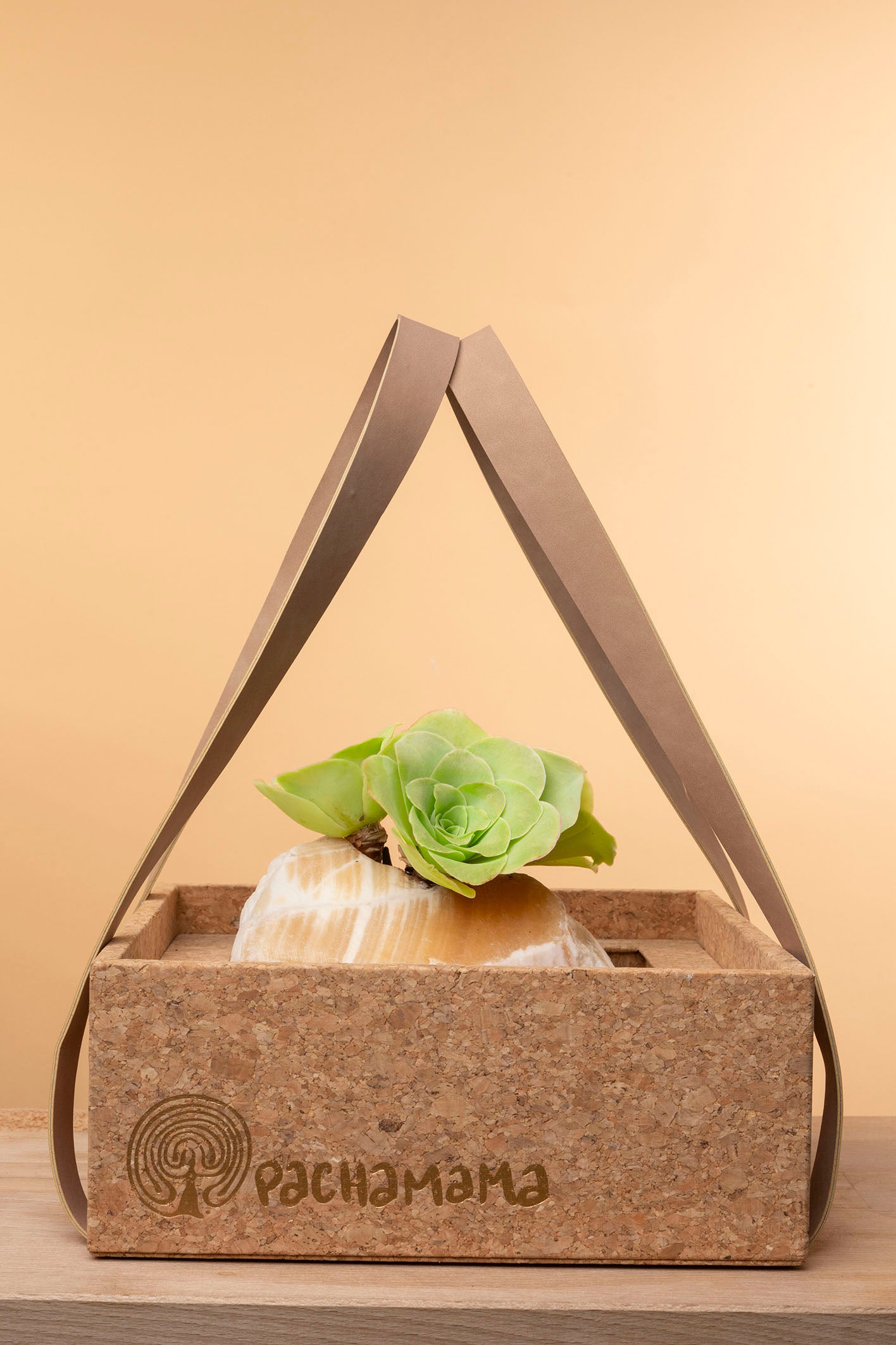Succulent on Raw Orange Calcite