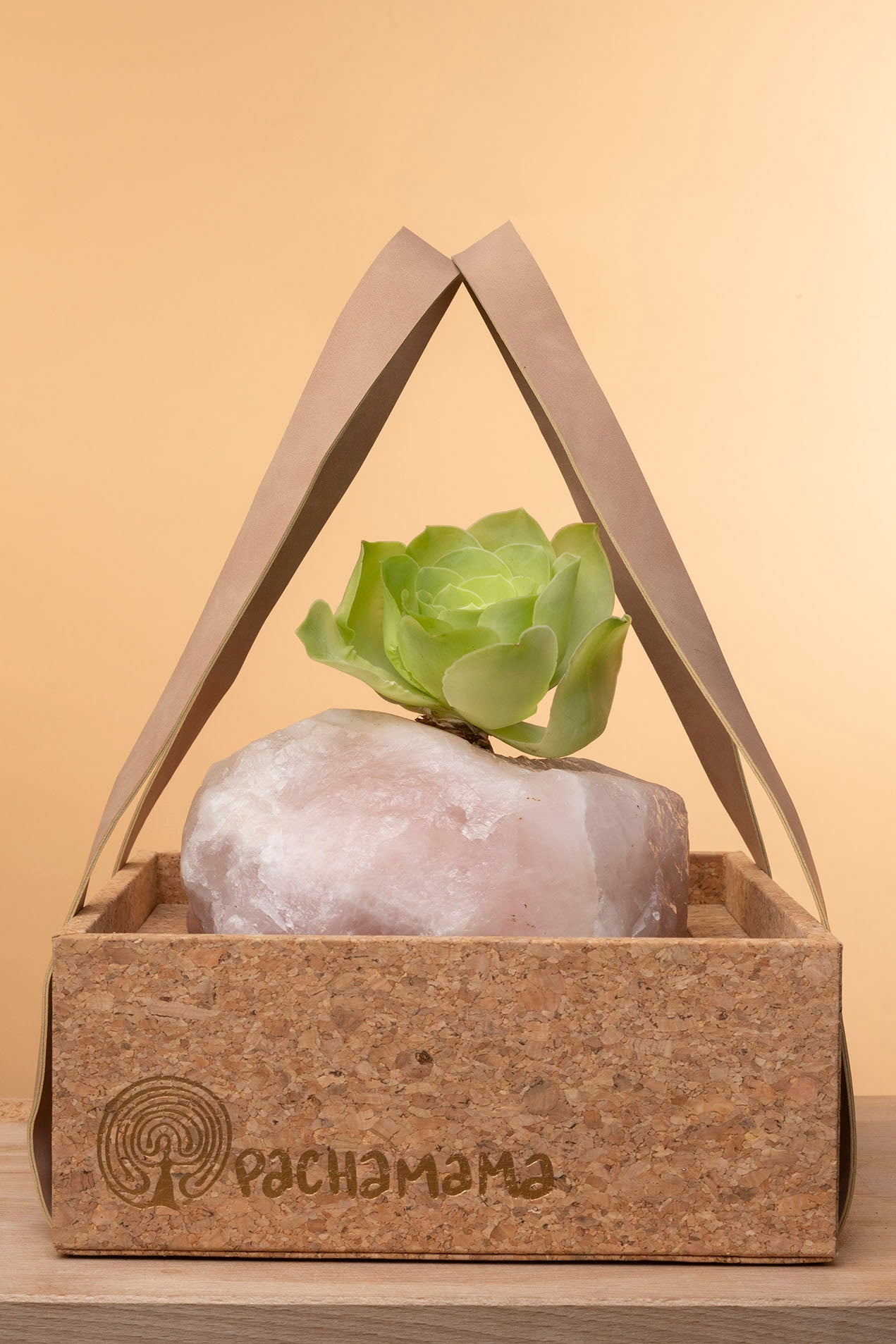Succulent on Raw Rose Quartz
