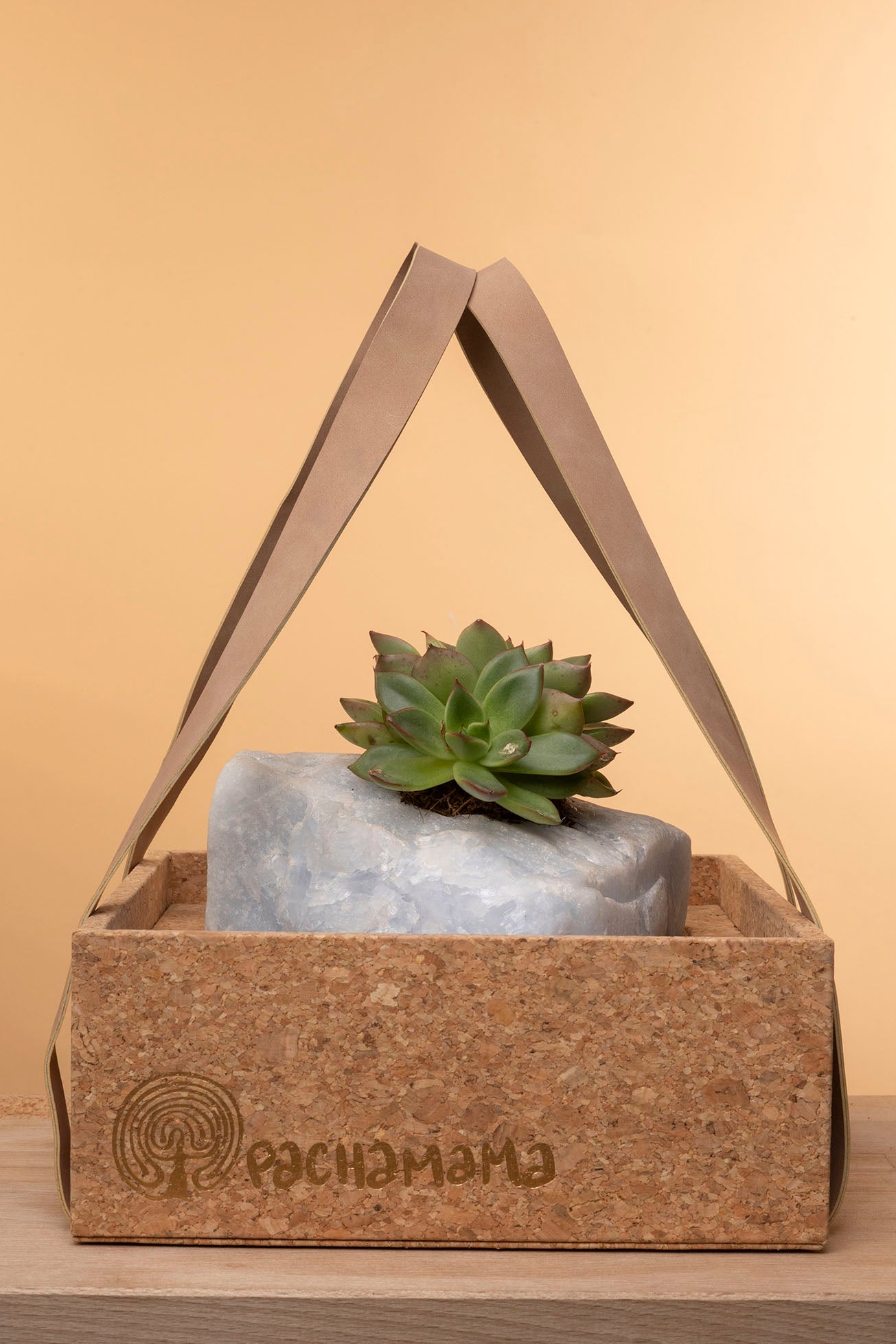 Succulent on Raw Blue Calcite