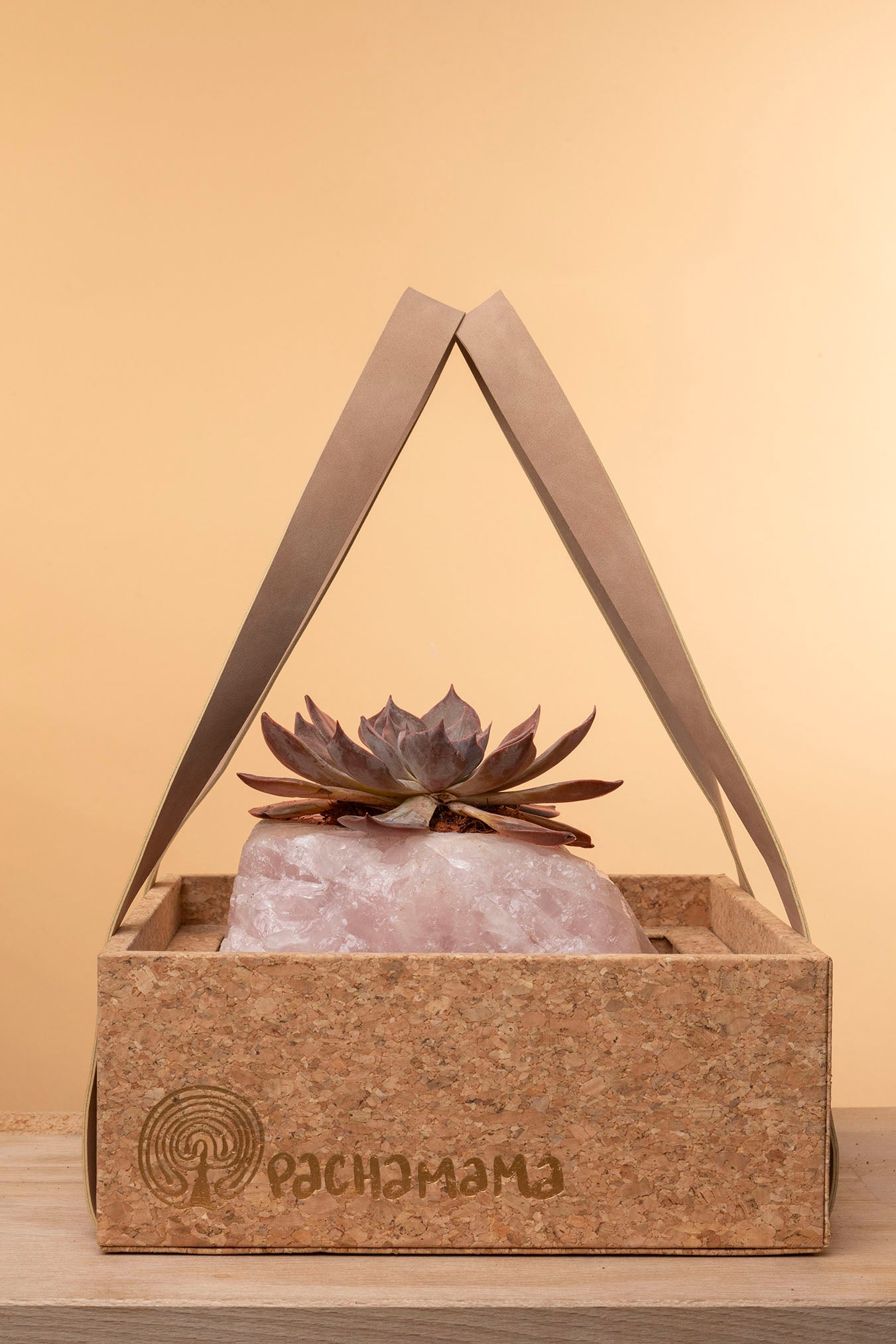 Succulent on Raw Rose Quartz
