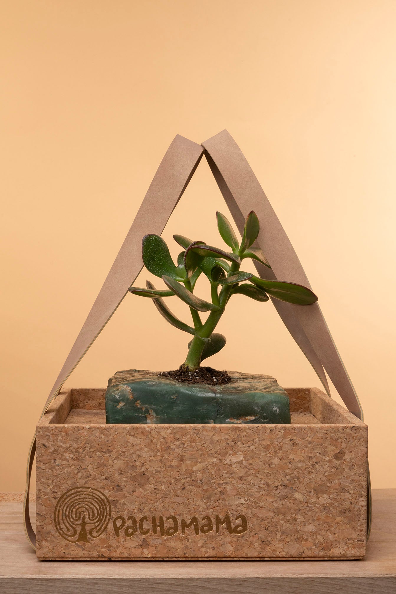 Succulent on Raw Jade