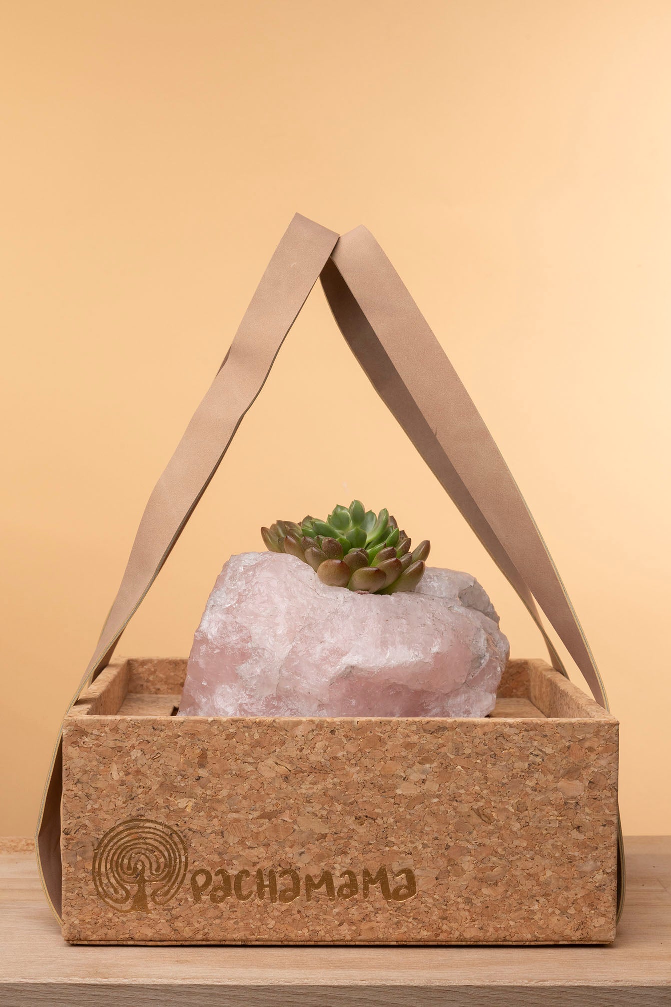 Succulent on Raw Rose Quartz