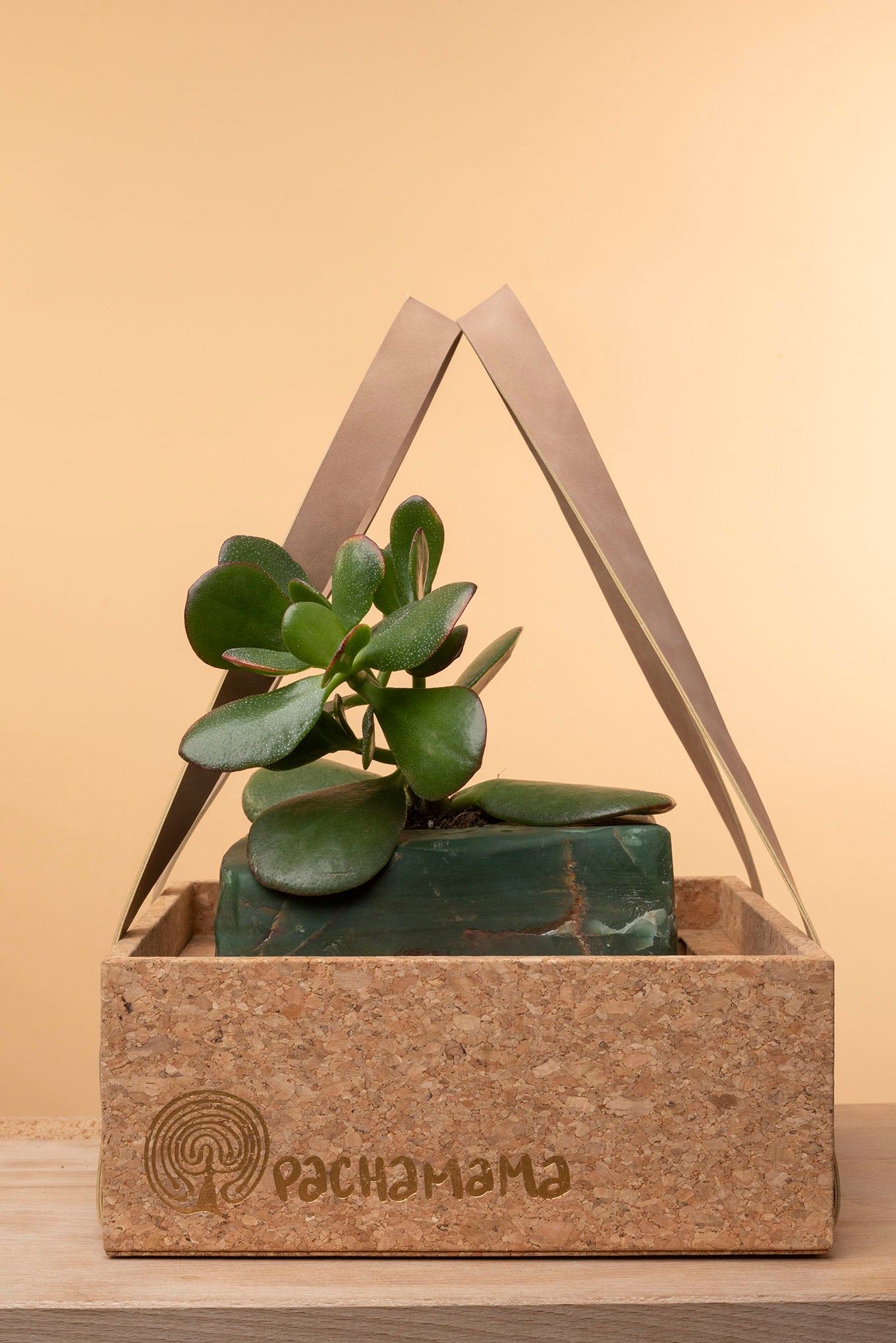 Succulent on Raw Jade