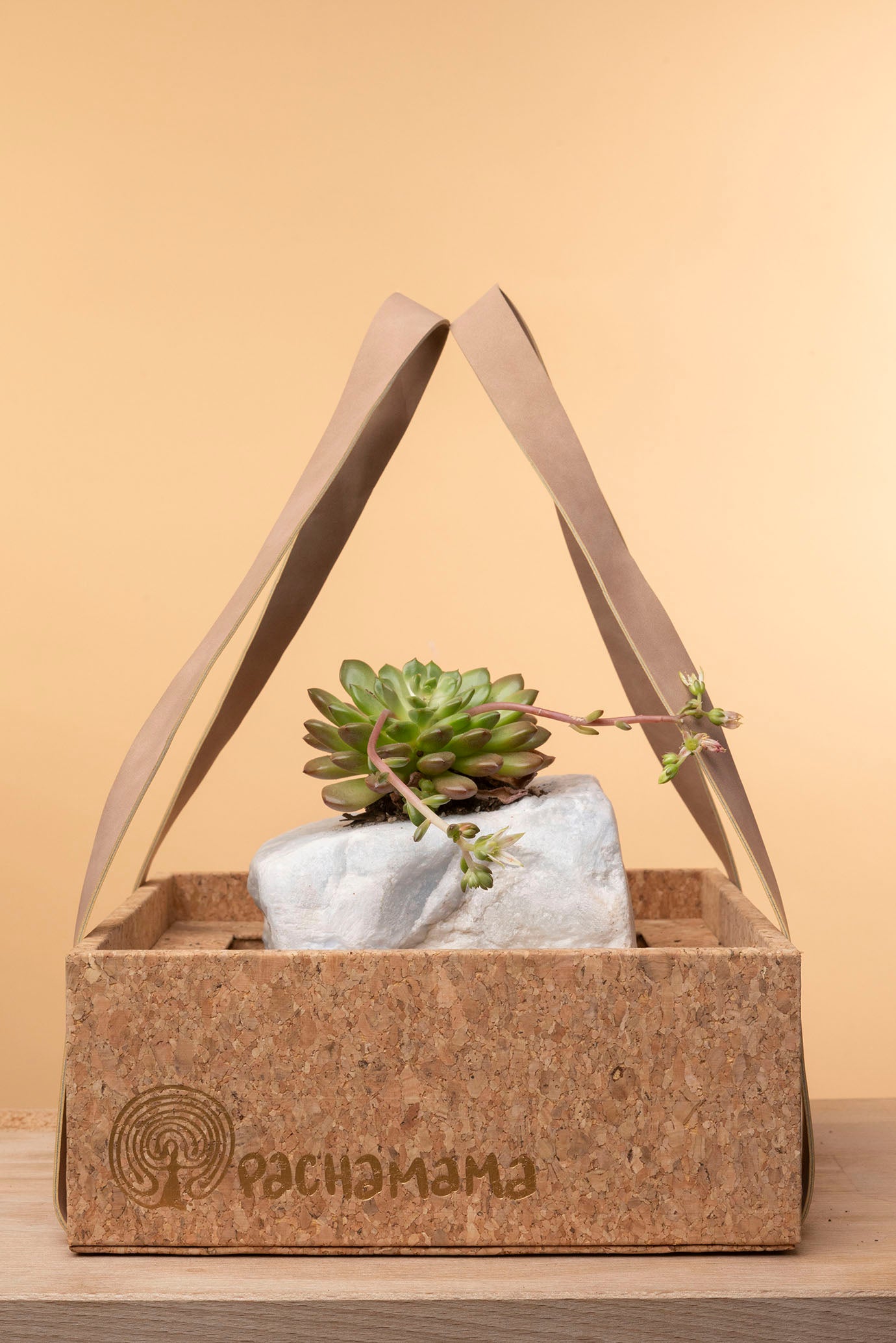 Succulent on Raw Blue Calcite