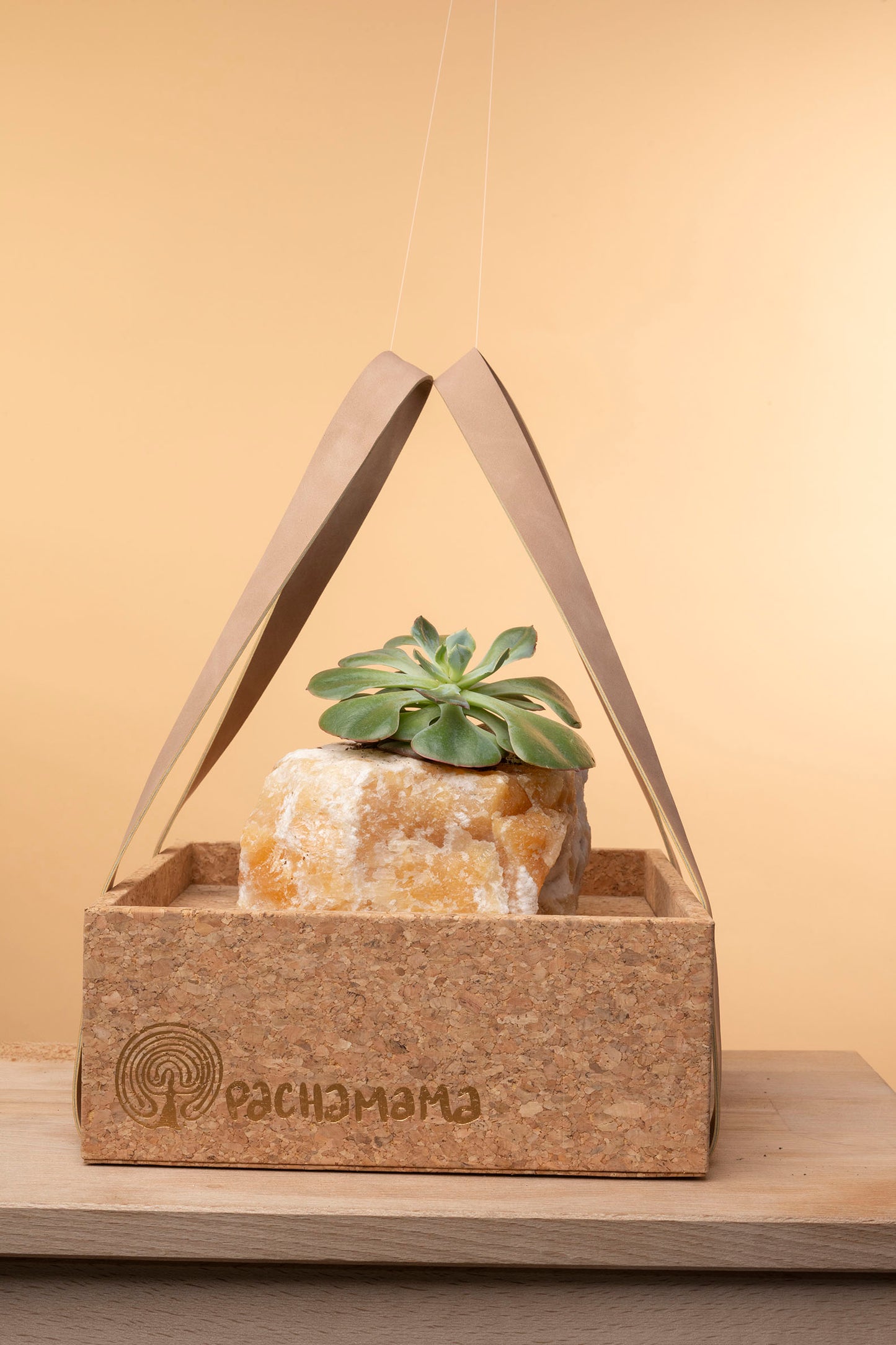 Succulent on Raw Orange Calcite