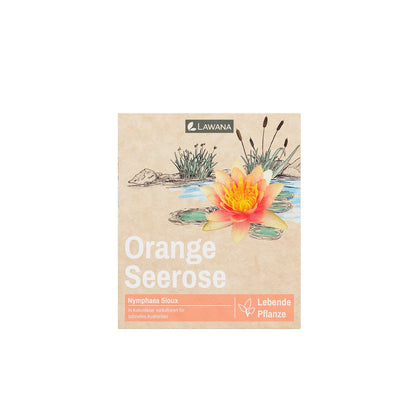 Pachamama Lotus, Orange Water Lily